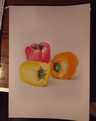 Organic-Shapes-G12-Sameh